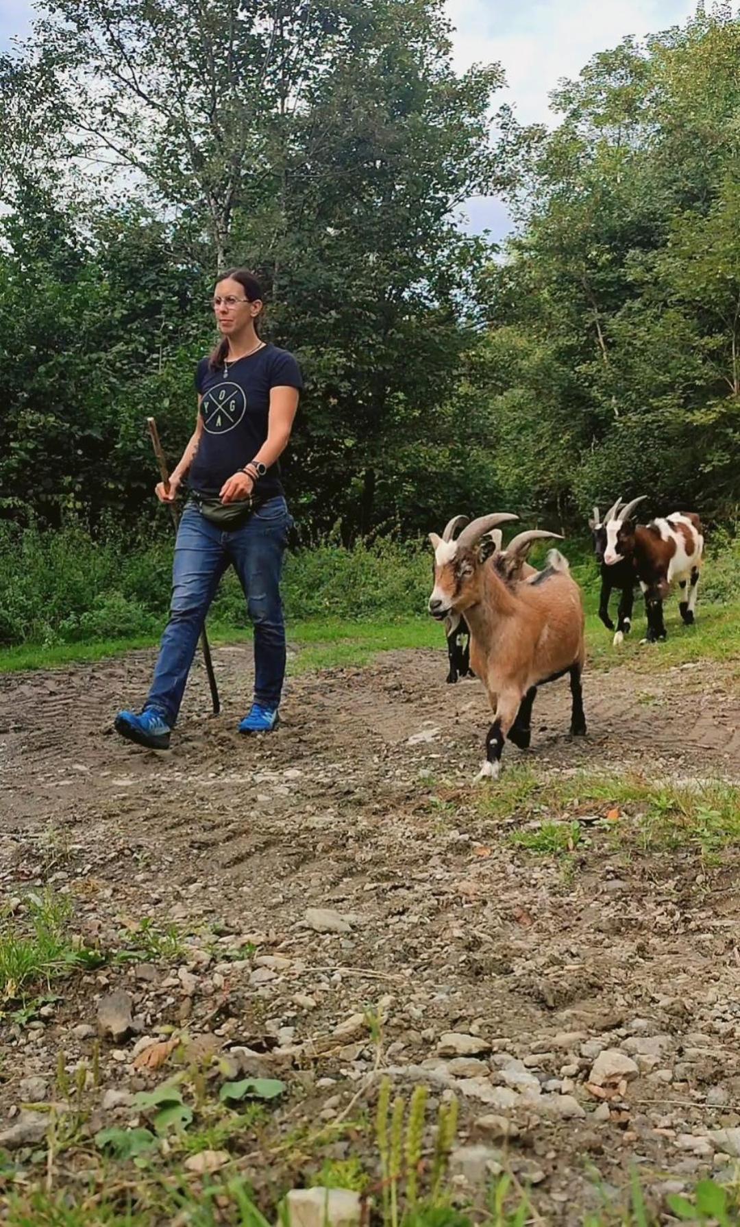 Willa Almhuette Auszeit Donnersbachwald Zewnętrze zdjęcie